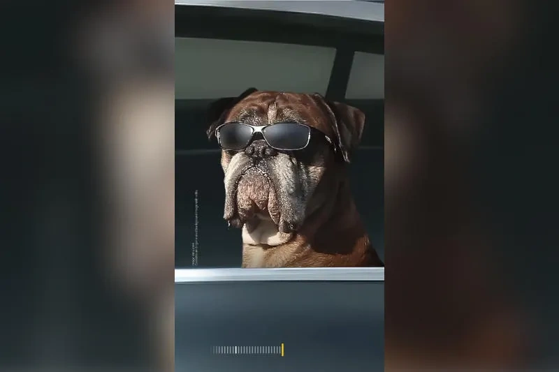 Samsung �������� ������ ������ Galaxy S26 � ������ �� ��� � ������ ������